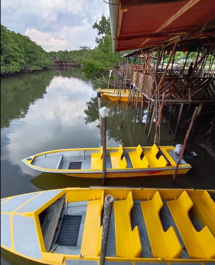 bintan green mangrove tour & fireflies night tour